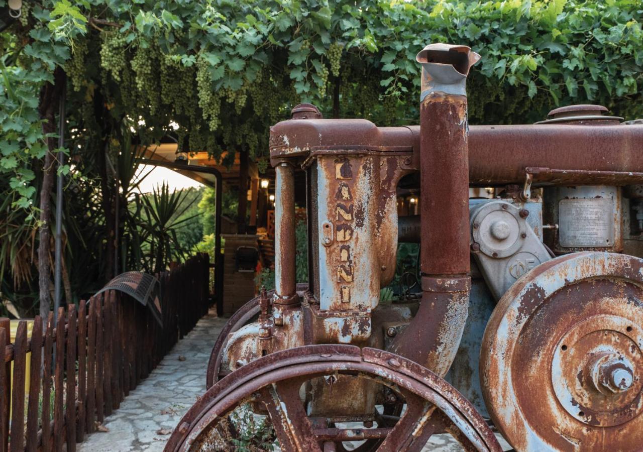 Il Sorgituro - Agriturismo Postiglione Екстериор снимка