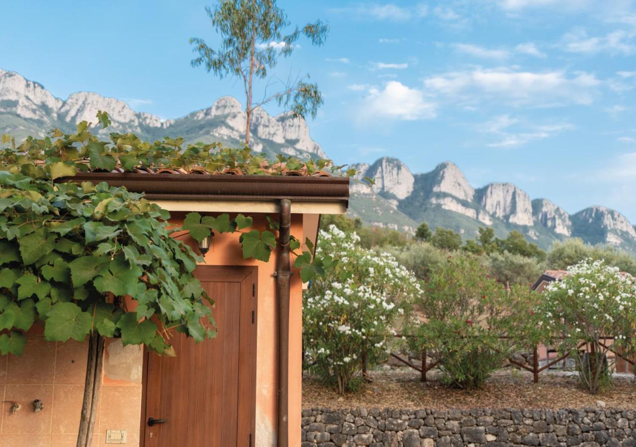 Il Sorgituro - Agriturismo Postiglione Екстериор снимка