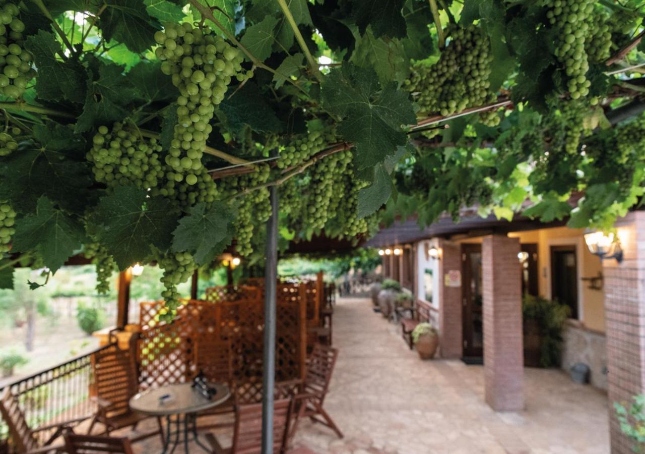Il Sorgituro - Agriturismo Postiglione Екстериор снимка