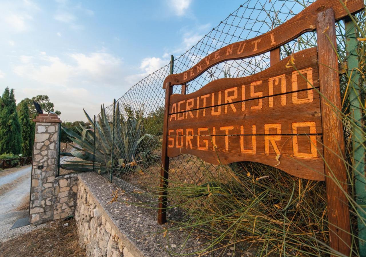 Il Sorgituro - Agriturismo Postiglione Екстериор снимка